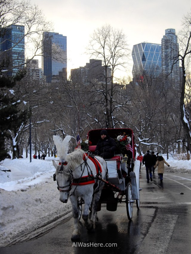 calesa-en-central-park