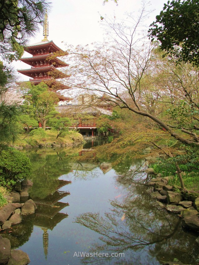 La pagoda desde el jardín del Demboin