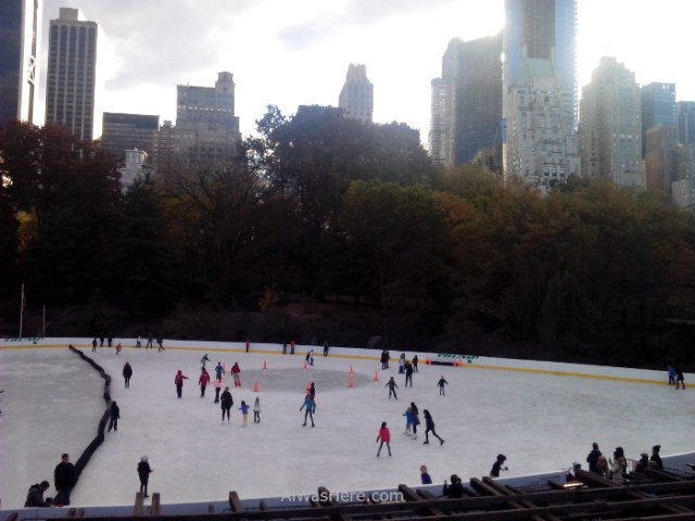 wollman-rink