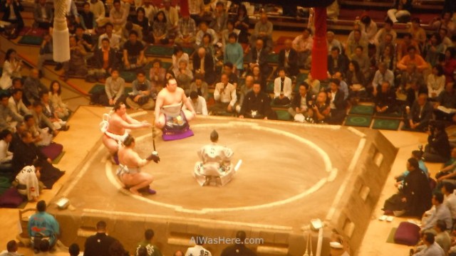 Yokozuna