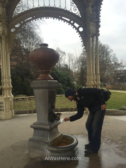 Bebiendo de la fuente de la Columnada del Parque