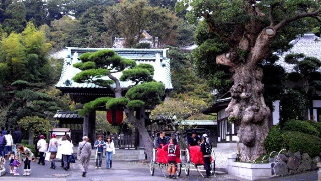 Hasedera Templo temple Kamakura