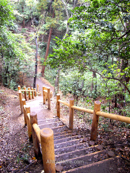 Sendero Daibutsu Trail Kamakura