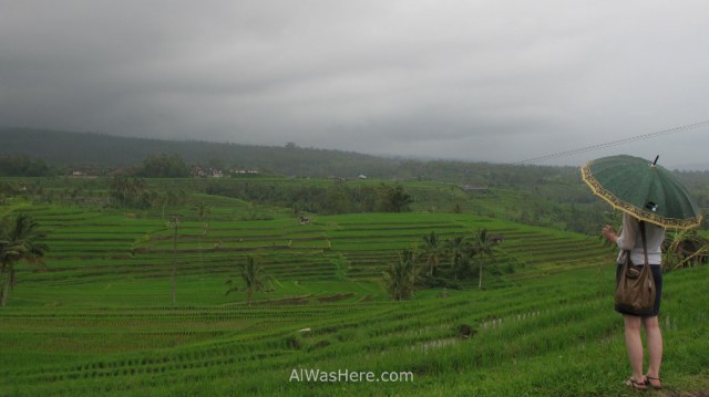 Jatiluwih con lluvia