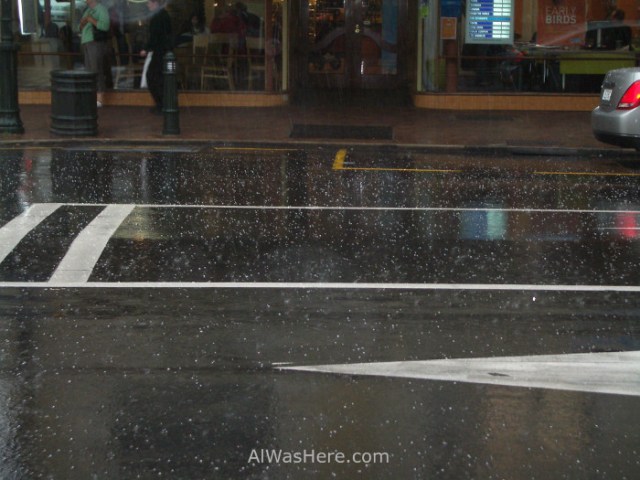 granizo-en-dunedin