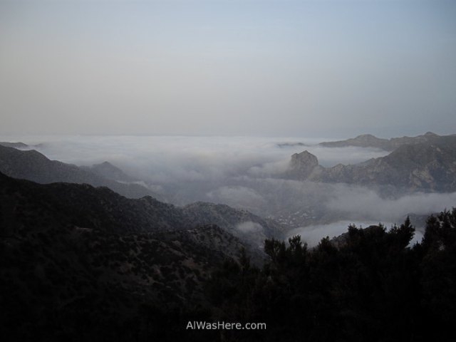 niebla-canaria