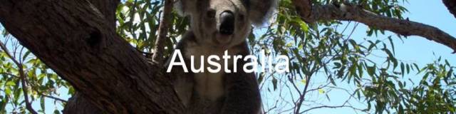 Australia. koala bear. Magnetic Island