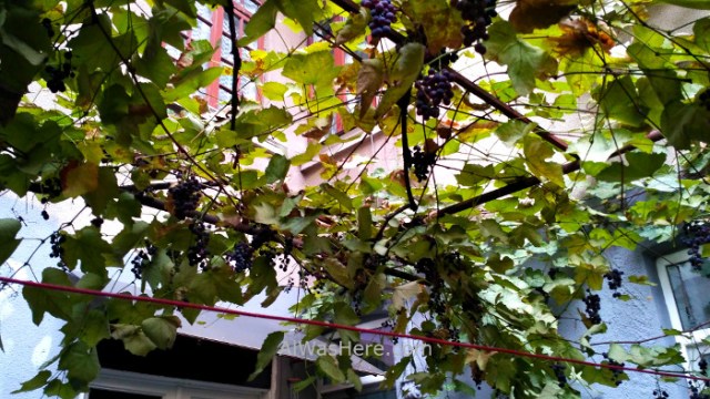 Bucarest 1 Rumania. Bucharest Romania