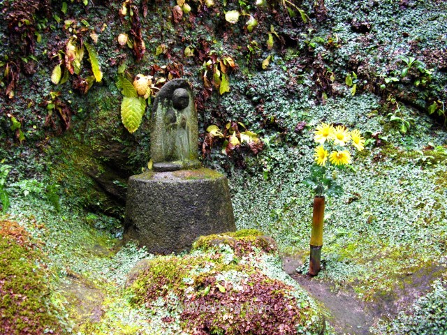 KAMAKURA INFORMACION 0. sendero daibutsu trail Japon Japan